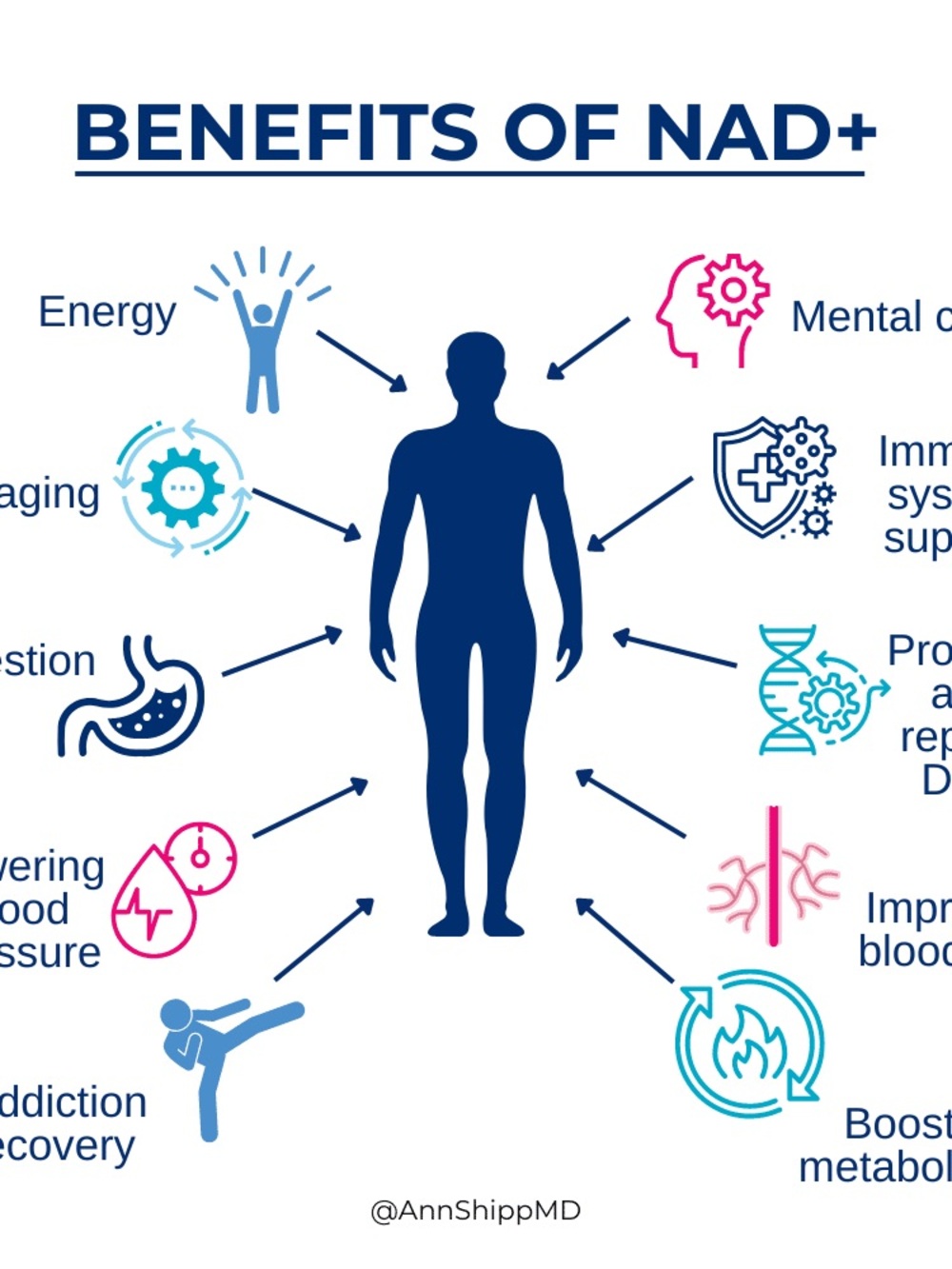 Blue Wellness Infographic Poster - NAD+ Benefits